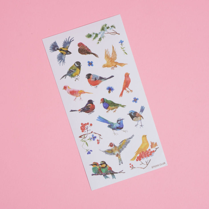 bird stickers