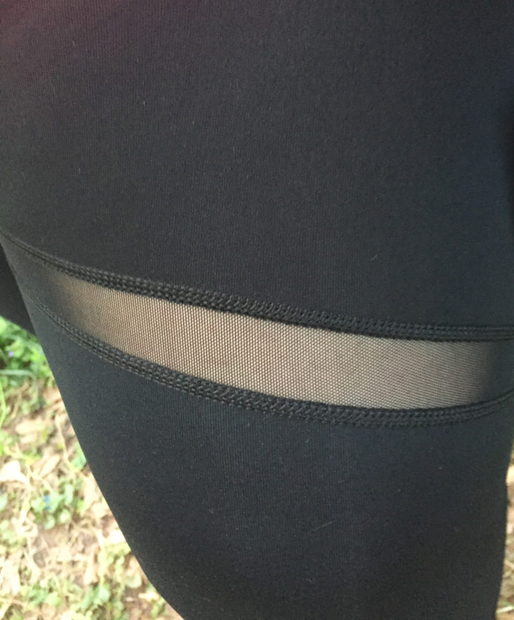 Curv High Waist Impact Legging by Vimmia