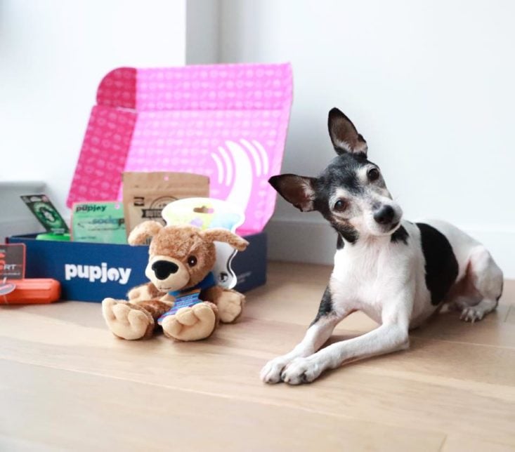 pupjoy box for dogs that gives back
