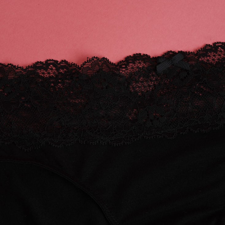 close up of Parfait Lingerie so essential bikini in black