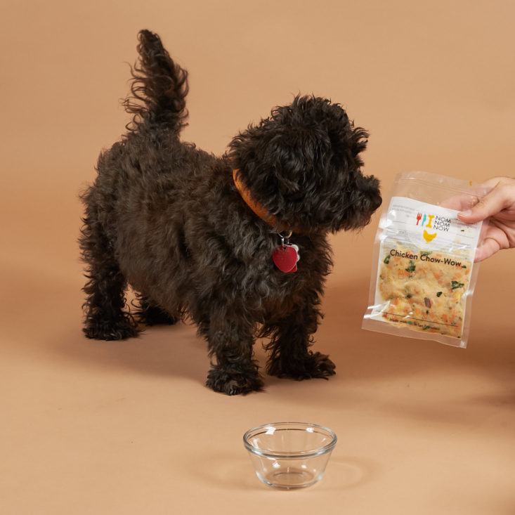 16 Best Dog Food Subscriptions of 2020 | MSA