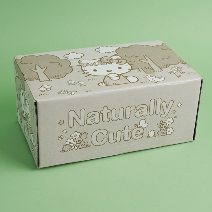 sanrio small gift crate spring box naturally cute box