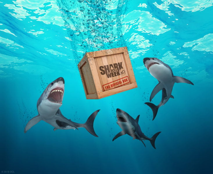Shark Week Box