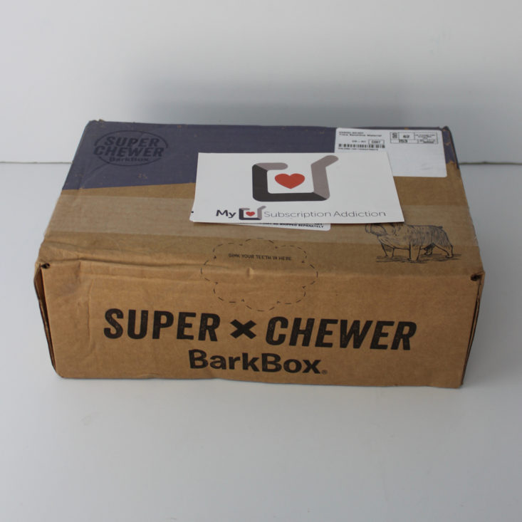 closed Barkbox Super Chewer box