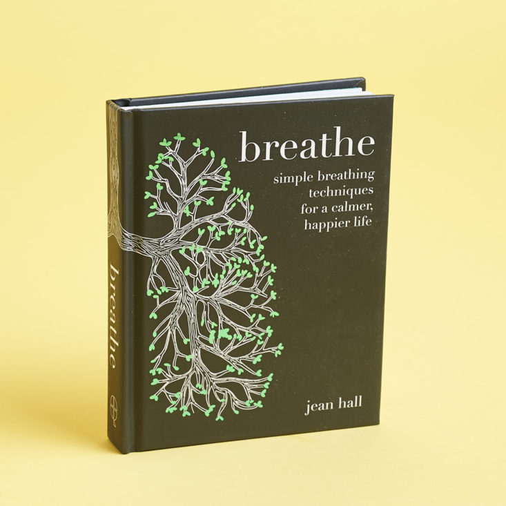 breathe book