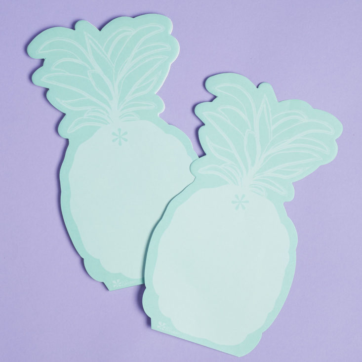erin condren pineapple notecard set