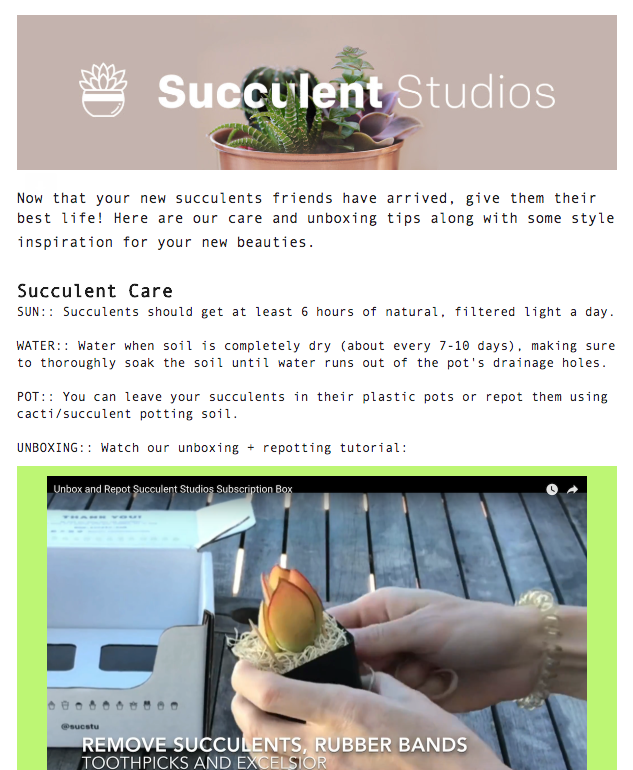 succulent studios email 2