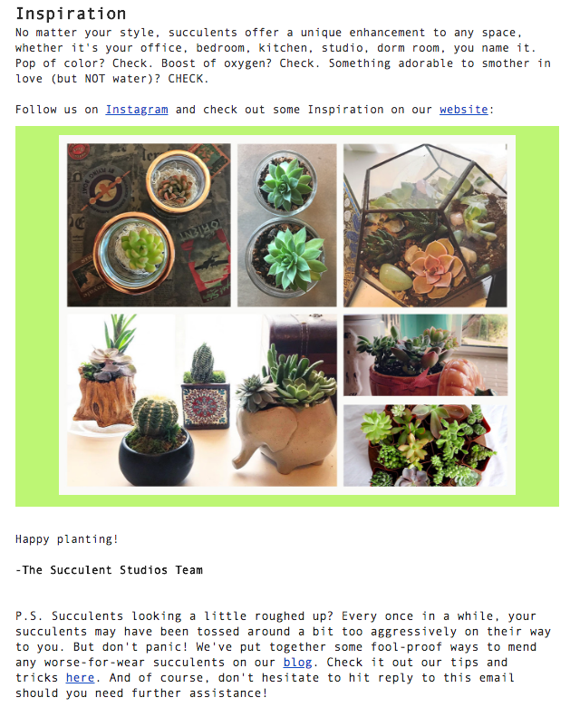 succulent studios email