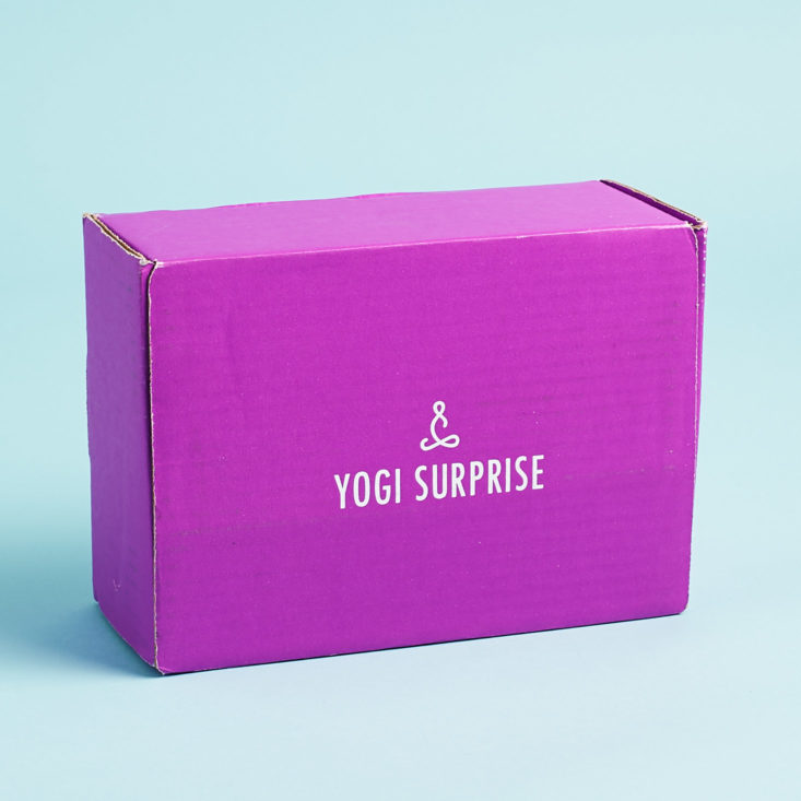 yogi surprise box