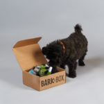 BarkBox Subscription Box Review + Coupon – July 2018