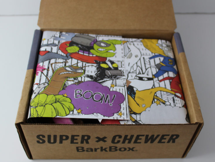 open Barkbox Super Chewer box