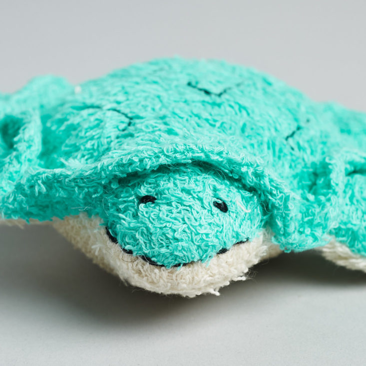 Turtle Scrubby