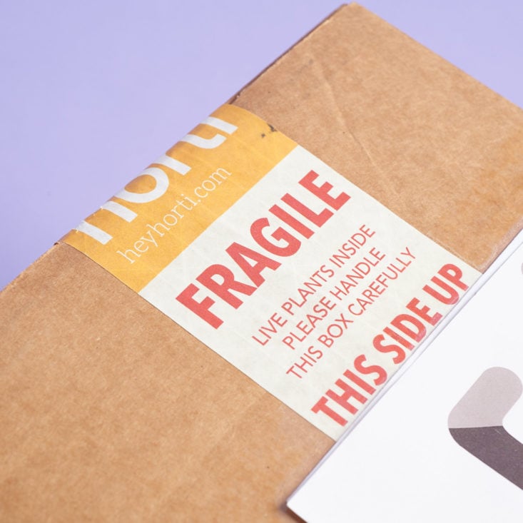 Fragile Shipping label
