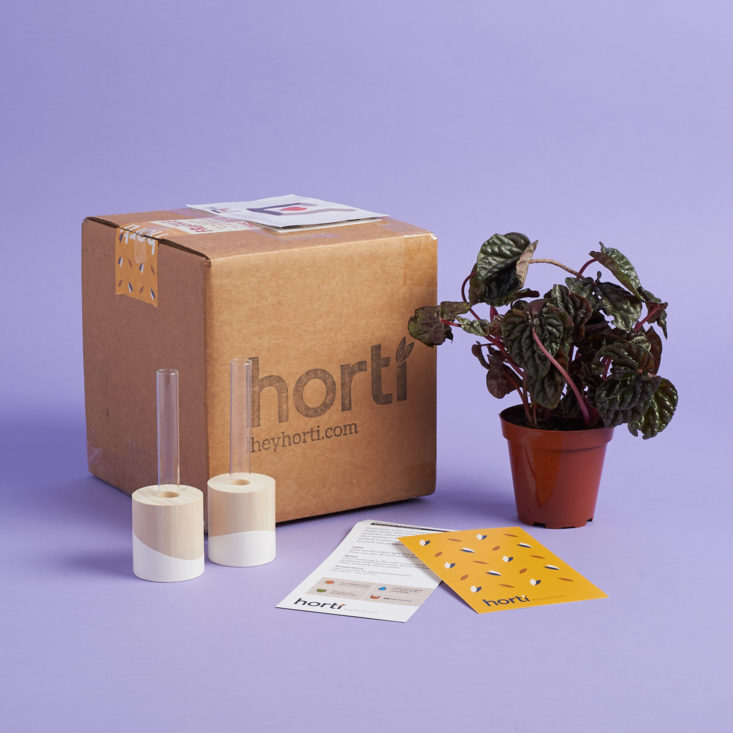 Horti Plant Subscription Review