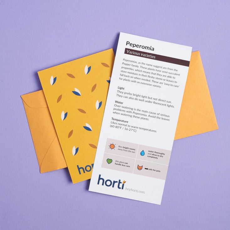 Horti Plant Care Info Cards in Envelope