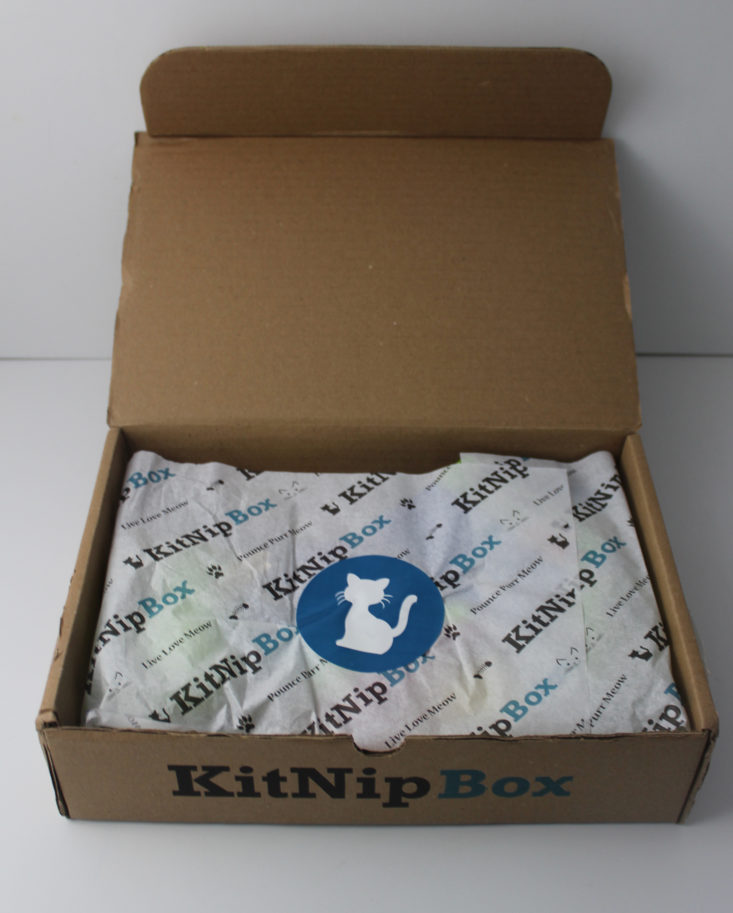 open Kitnipbox box