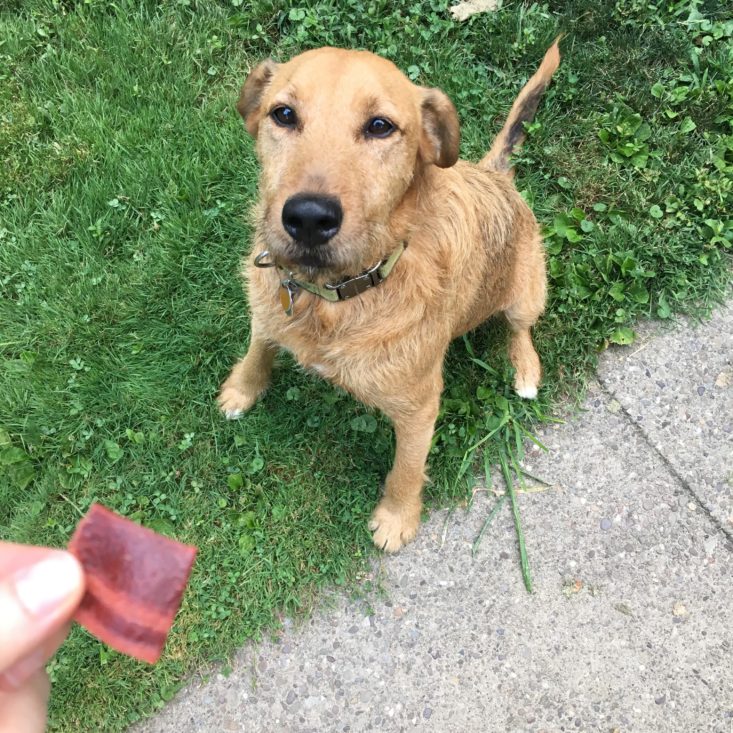 TreatLuv bacon treats for dogs
