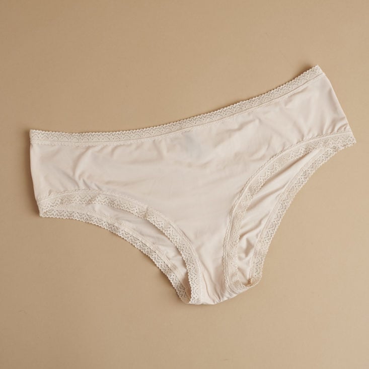 front of Blush The micro laced trimmed hipster underwear in nude