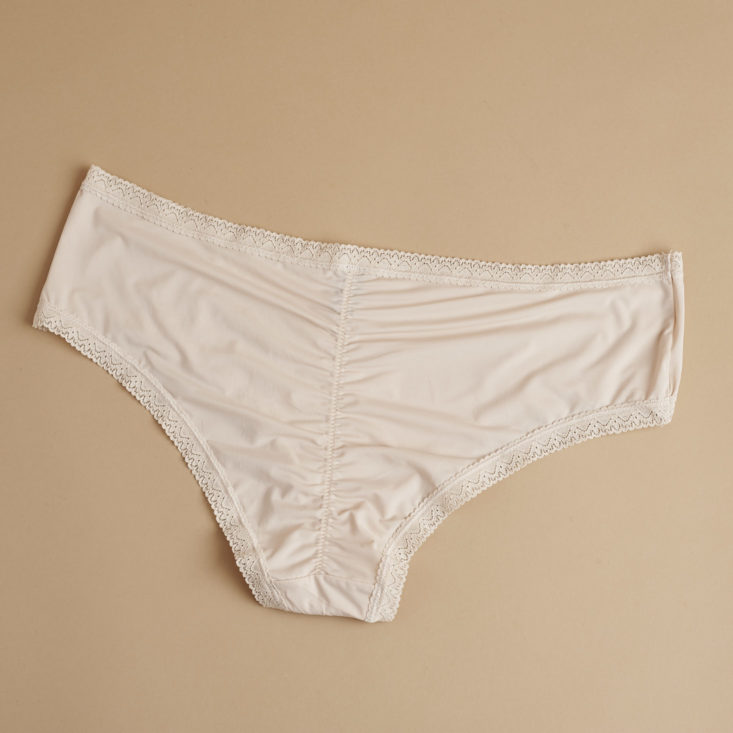 back of Blush The micro laced trimmed hipster underwear in nude