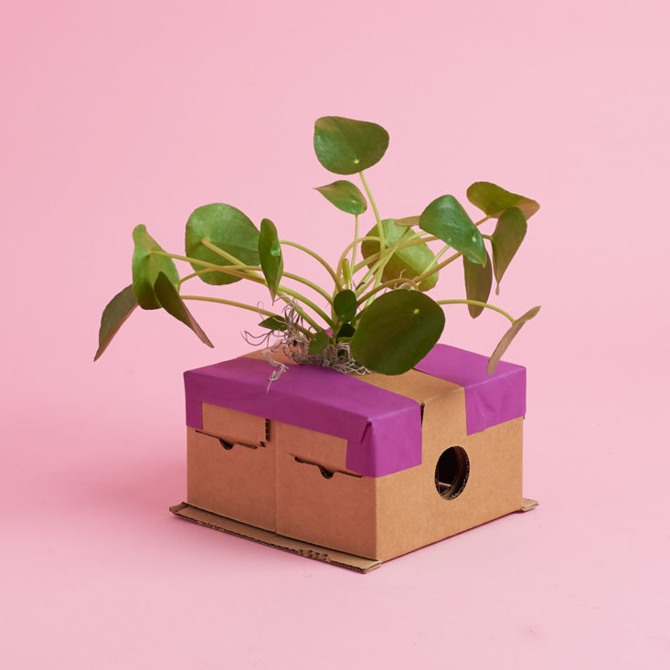 lunarly plant packaging