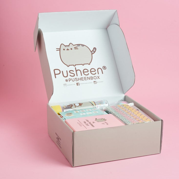 open Pusheen Box