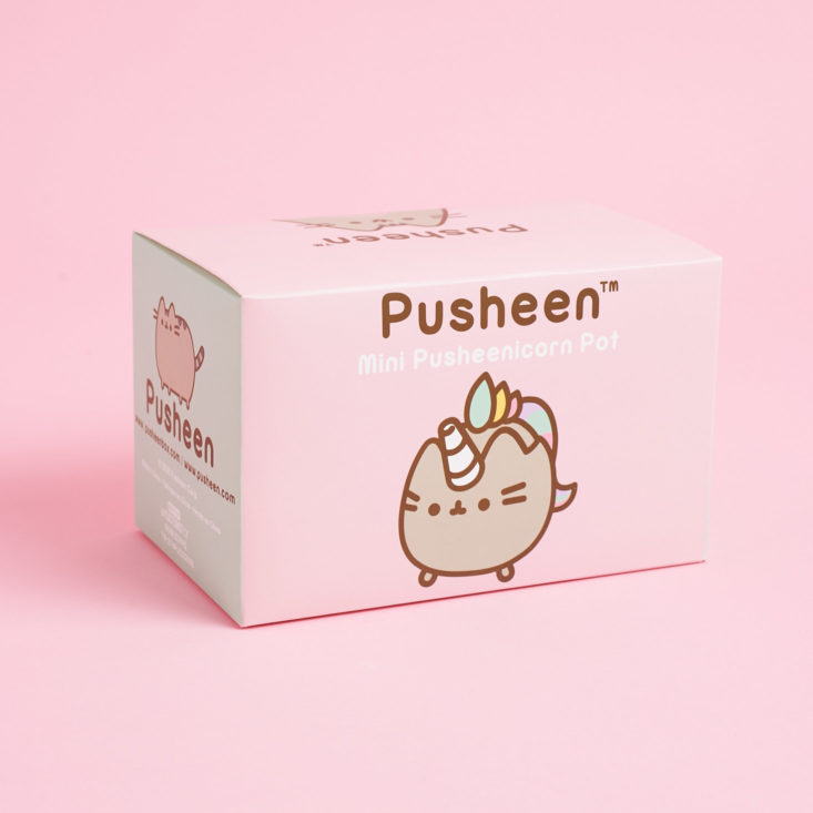 front of Pusheenicorn Pot box