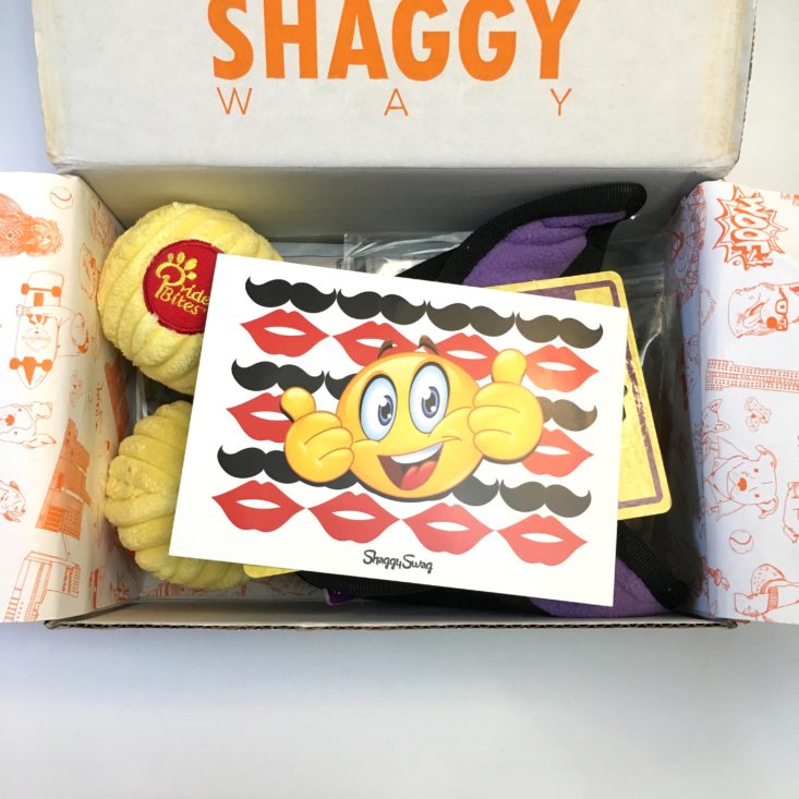 ShaggySwag out of box experience