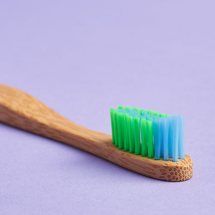yogi surprise mens toothbrush bristles