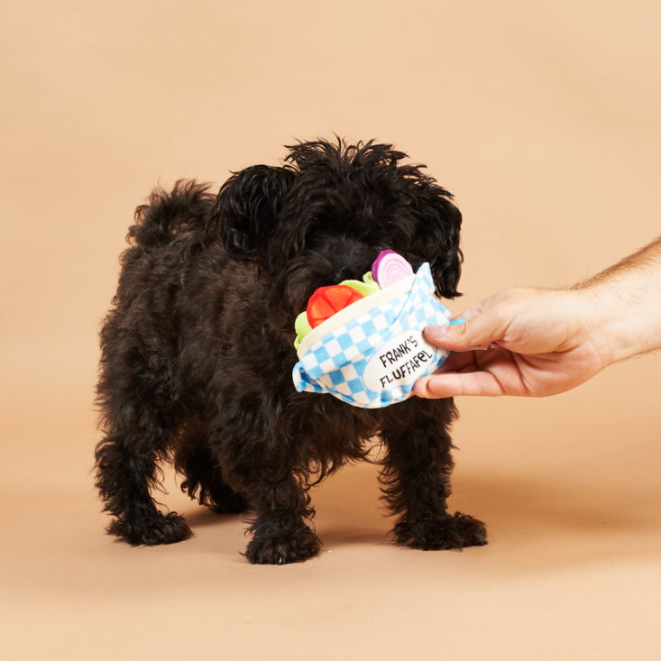 BarkBox September 2018 - Dog with A Pawful of Falafel 2