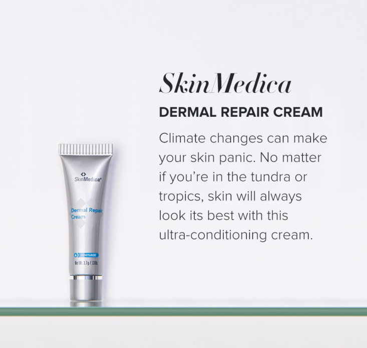 SkinMedica – Dermal Repair Cream