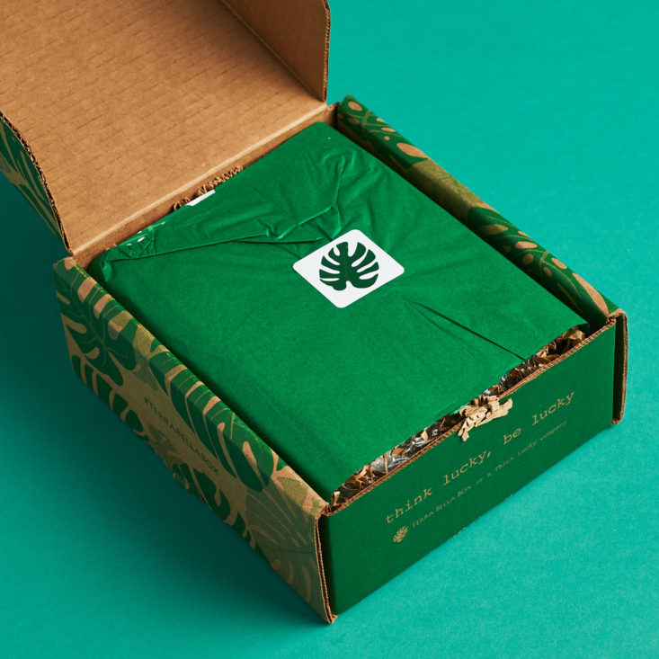 terra bella box green unboxing