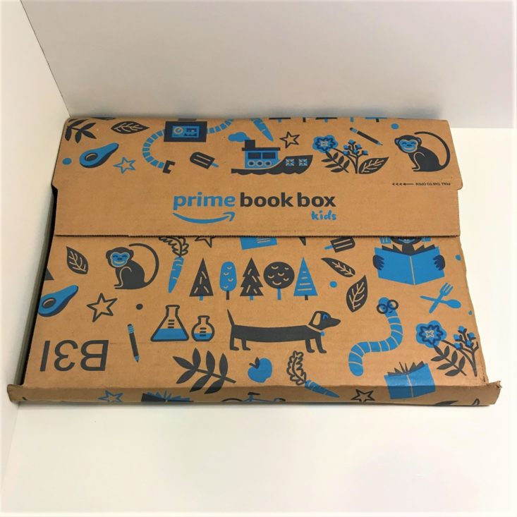 Amazon Prime Book Box December 2018 - Box Review Top