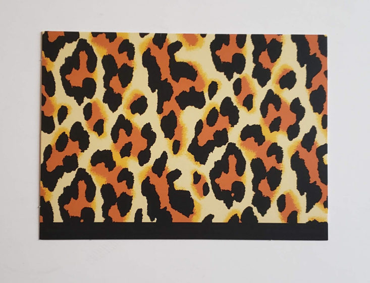 CHC Vintage Plus Clothing Box October 2018 - I love the leopard print greeting card Top