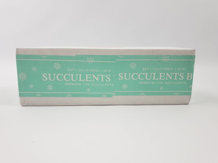 Succulents Box December 2018 - Box Closed Front