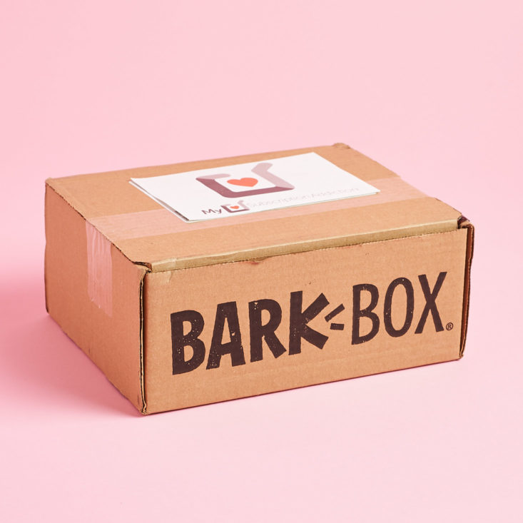 Barkbox January 2019 - Box Closed Front