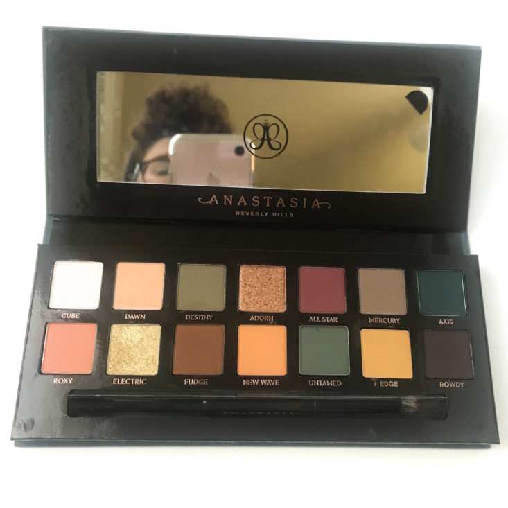 Beautylish Lucky Bag January 2019 - Anastasia Beverly Hills Subculture Palette Frot 3