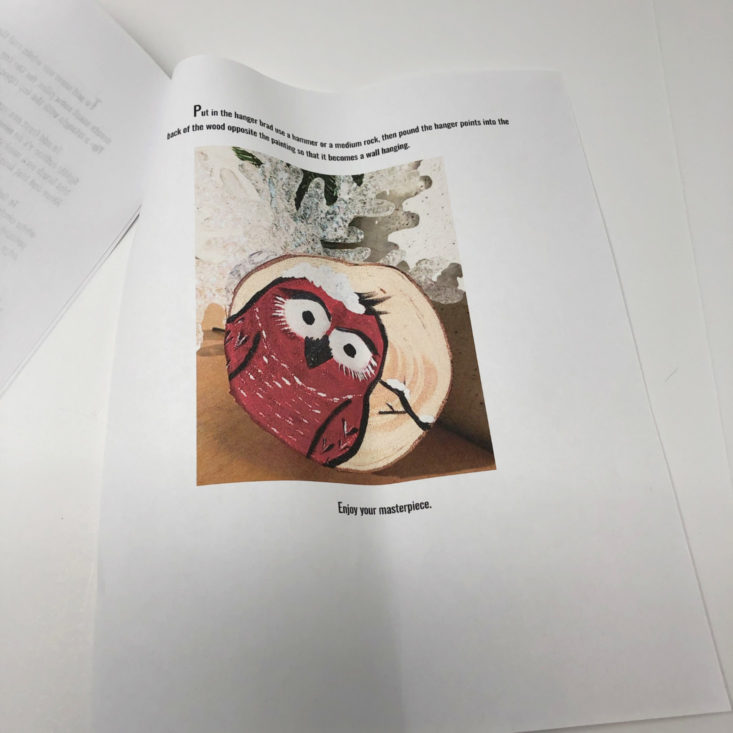 DIY Decor Craft Box “Owl on Raw Wood” January 2019 - Instructions Book Top 5