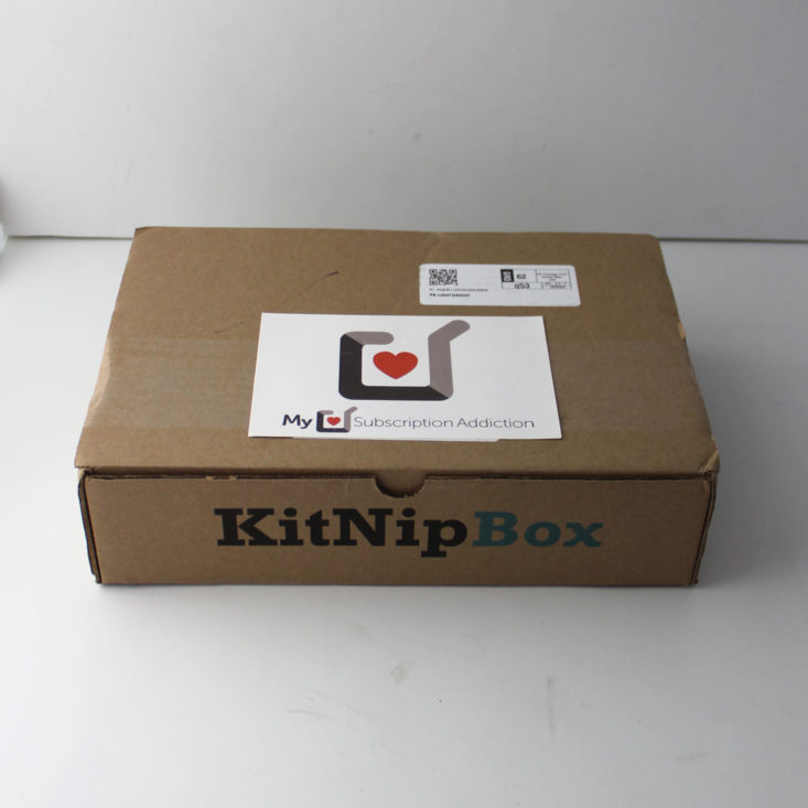 Kitnipbox January 2019 - Closed Box Top