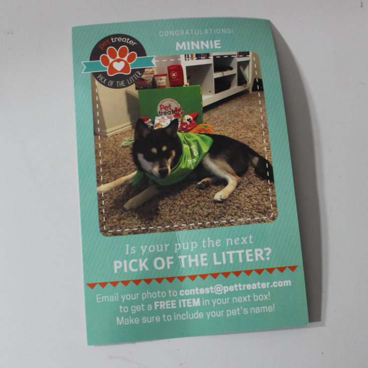 Pet Treater Cat Pack January 2019 - Booklet Front Top