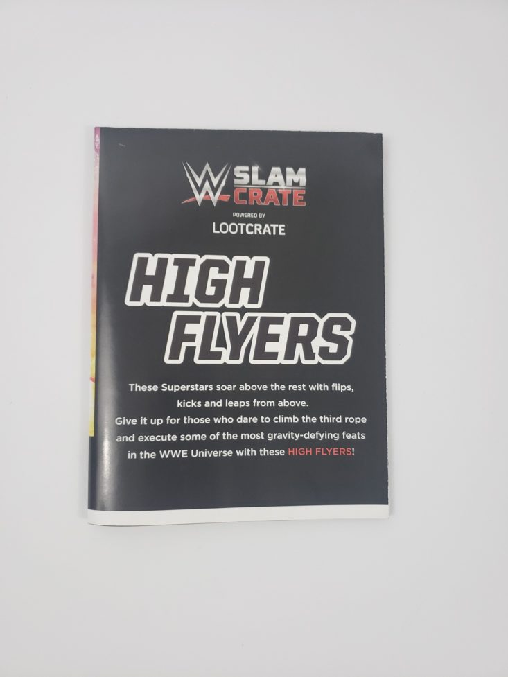 WWE Slam Crate by Loot Crate December 2018 - High Flyers Foldable Magazine Front
