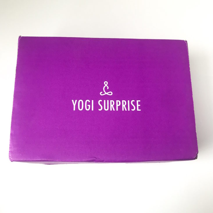 Yogi Surprise January 2019 - Yogi Surprise Close Box Top