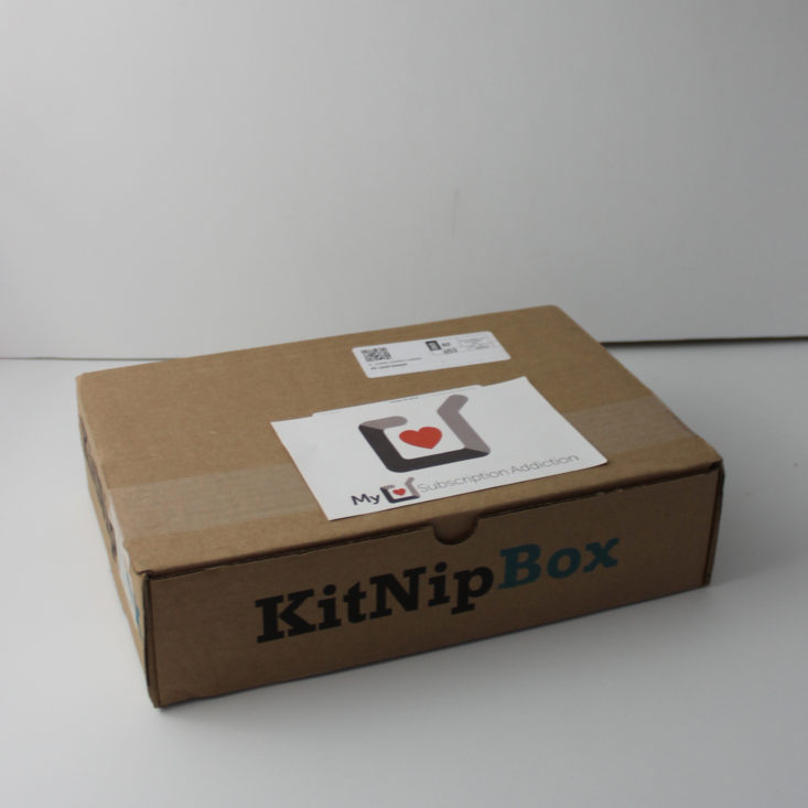 Kitnipbox February 2019 - Box