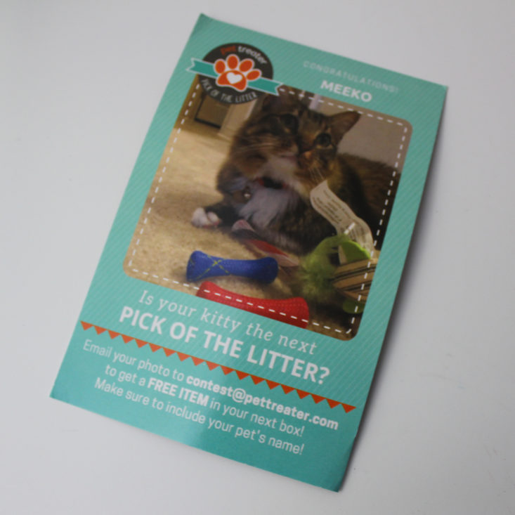 Pet Treater Cat Pack Review February 2019 - Information Booklet Back Top