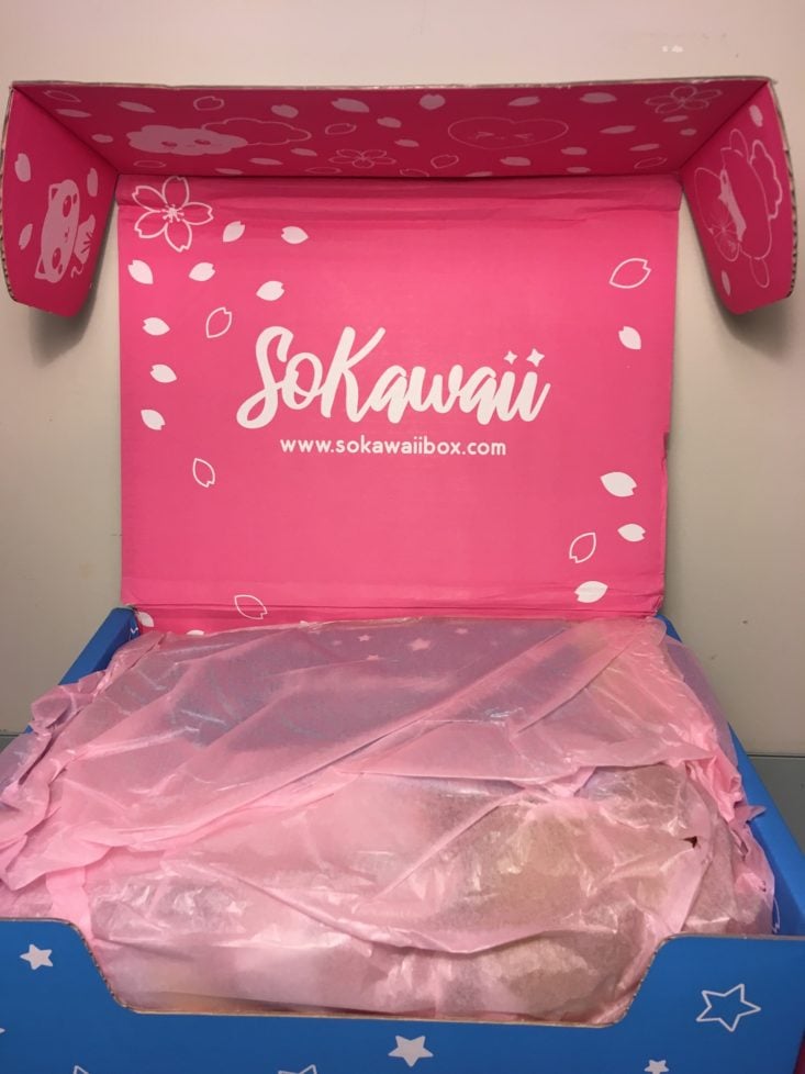 SoKawaii January 2019 - Box Open