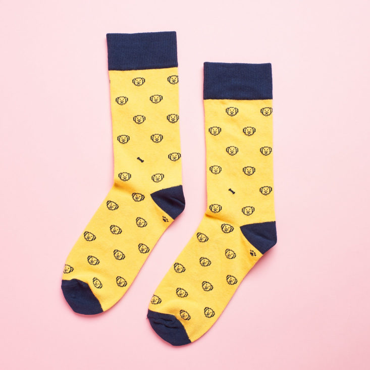 Society Socks january 2019 dog socks left