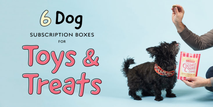 6 best dog toy subscription boxes