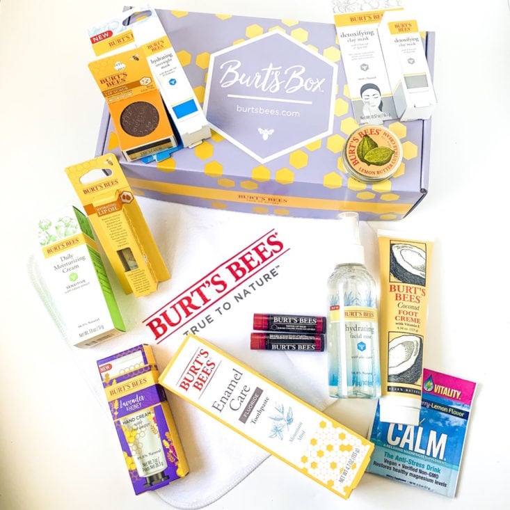 Burt’s Bees Burt’s Box Review March 2019 - All Products Group Shot Top