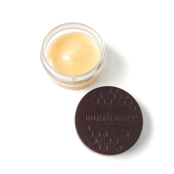 Burt’s Bees Burt’s Box Review March 2019 - Conditioning Lip Scrub Uncapped Top