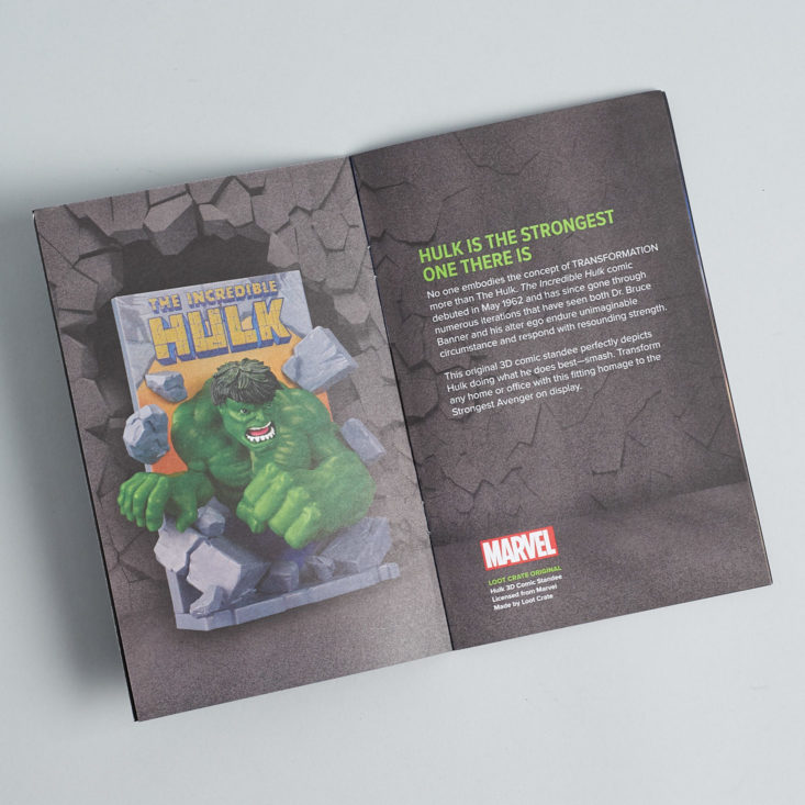 Loot Crate Transformation booklet hulk