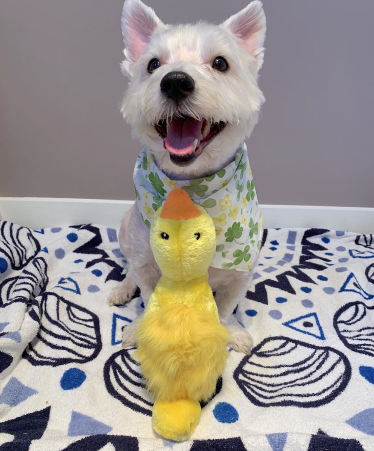 March 2019 Dapper Dog Box Review March 2019 - Zippy Paws Throw-A-Bird Squeaky Plush With Dog Front